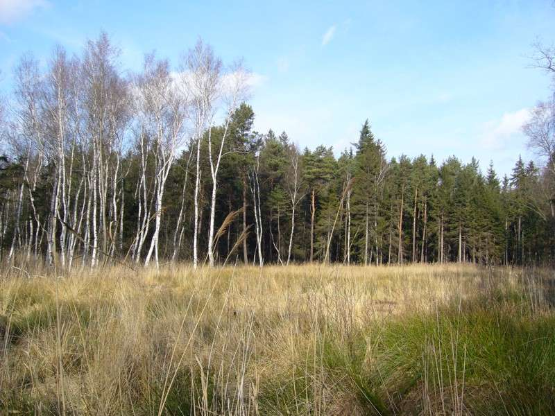 Nov zvlt chrnn zem v KLnovickm lese
